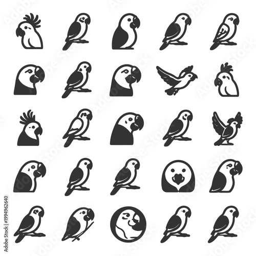 Set of various parrot silhouettes in different poses.