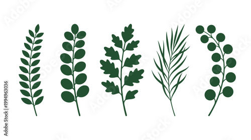 Botanical Plant Branch Silhouettes Vector Collection on White Background Featuring Leaves, Berries, Oak‑Style Lobed Leaves, Narrow Leaf Stems, Decorative Nature Icons