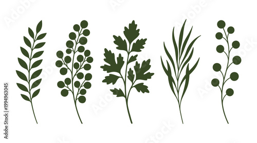 Botanical Plant Branch Silhouettes Vector Collection on White Background Featuring Leaves, Berries, Oak‑Style Lobed Leaves, Narrow Leaf Stems, Decorative Nature Icons