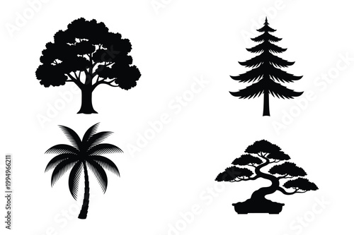 Various tree silhouettes: palm evergreen deciduous bonsai with evergreen