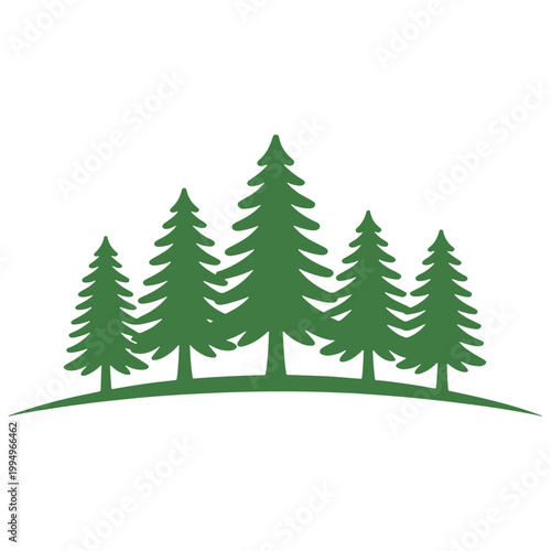 Group of green pine trees illustration