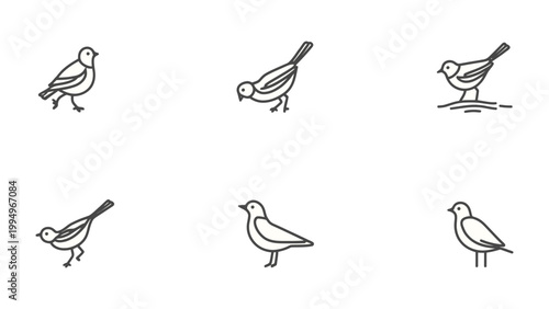 Line Art Sparrows Collection: A delightful compilation of line art illustrations, featuring various poses of sparrows. These delicate depictions capture the essence of these small birds.