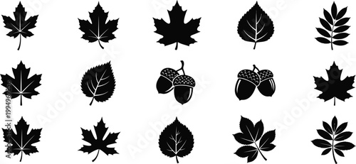 A set of black silhouette leaf icons and acorns on a white background