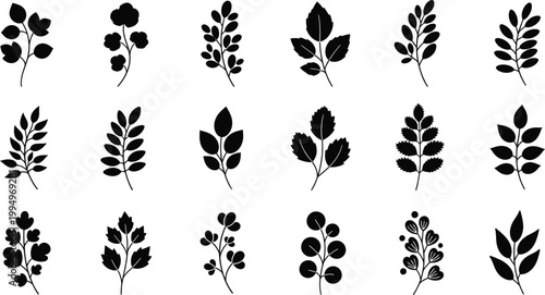 A set of black silhouette leaf icons on a white background