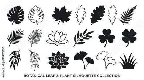 "Vector leaf and flower silhouettes collection, botanical icons grid set, black minimalist foliage and floral design, natural decorative elements for branding, art, education, and marketplace optimiza