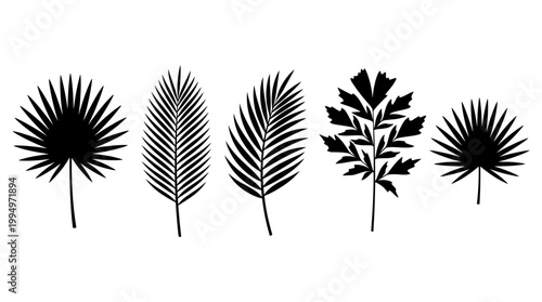 "Vector palm leaf silhouettes collection, tropical fronds botanical illustration set, black minimalist foliage design, natural decorative elements for branding, art, education, and marketplace optimiz