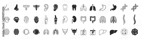 Anatomy organs medical set outline solid icon on transparent background