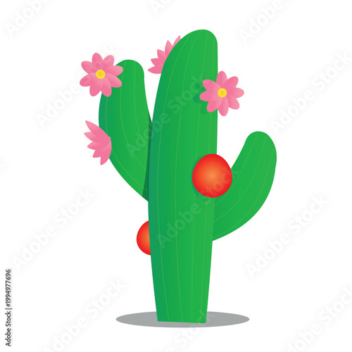 Nordeste brasileiro - Mandacarú florado