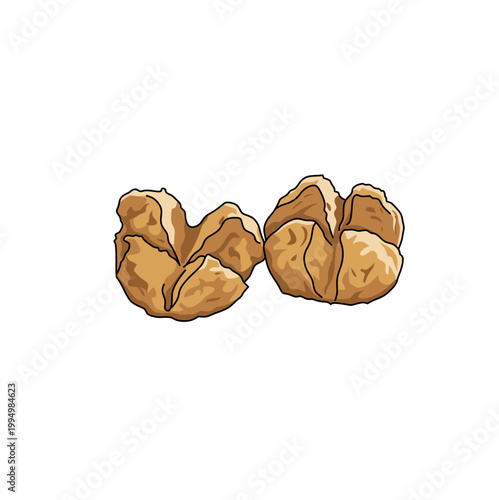 Indonesian bakso goreng pair fried meatballs vector illustration