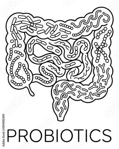 Outline illustration of human intestines depicting probiotic bacteria microbiome for medical and healthcare design