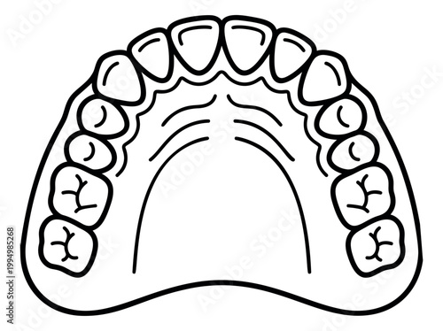 Outline illustration of human upper jaw depicting full arch dentition with molars and incisors for dental and medical design
