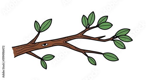 Illustration of a tree branch with green leaves and a hidden eye