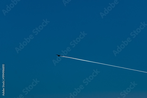A bird mimicking the flight of an airplane at full speed