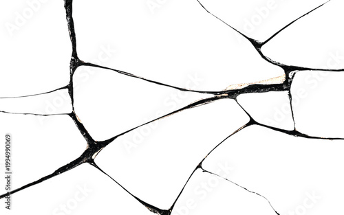 A detailed fractured black line pattern resembling cracked earth ideal for design elements on transparent background silhouette high quality professional
