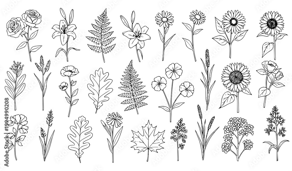 Fototapeta premium Floral silhouette vector set flowers leaves black white botanical icons