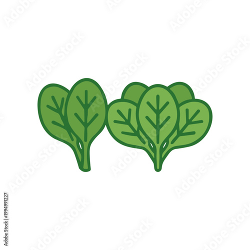 Green leafy vegetable illustration bunch.