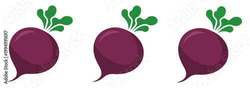 beet root vegetable illustration organic food design