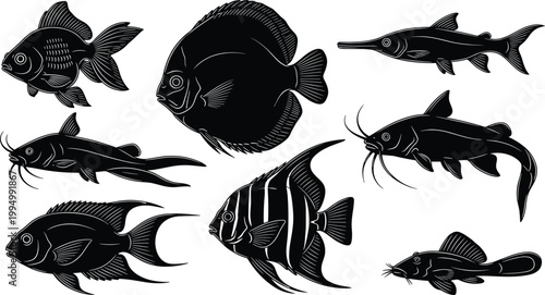 Vintage fish engraving set. Detailed black and white marine species illustrations. Classic vector collection for ocean design, tattoo art, and nautical themed projects.
