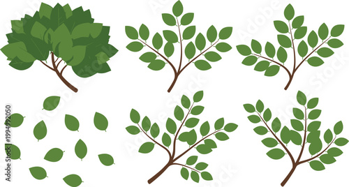 Set of green stylized trees with leaves vector icons, botanical foliage for eco friendly nature designs