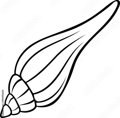 Doodle style illustration of a classic seashell, simple black and white sketch icon. Hand-drawn marine life element perfect for underwater and beach themes