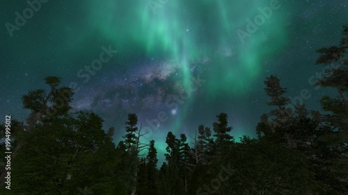 Color Aurora borealis forest starry sky night nature bg 4k