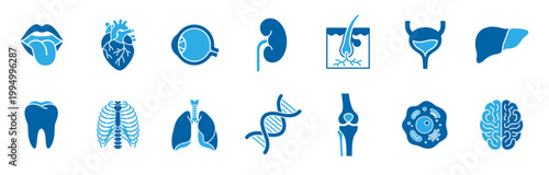 Anatomy organs medical blue silhouette set icon on transparent background