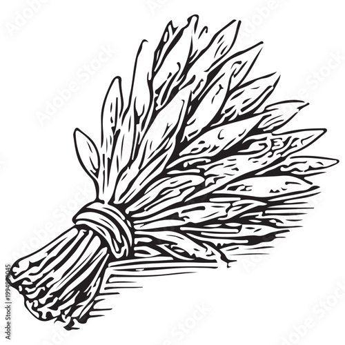 Herbal Magic Bundle Icon for Witchcraft, Natural Remedies, Spell Ingredients and Occult Ritual Tools