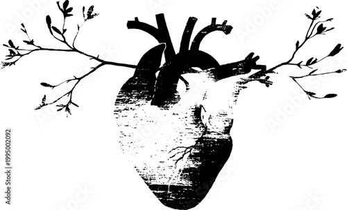 Grunge anatomical heart with thorn branches high contrast black and white for poster and sticker design