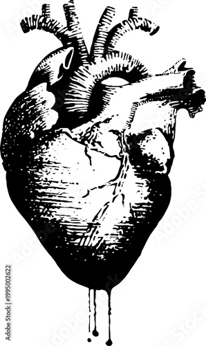 High contrast anatomical heart with halo and dripping tears for dark tattoo design and emotional poster background
