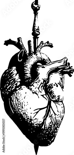 Anatomical heart pierced by sword high contrast black and white graphic for tattoo and poster design