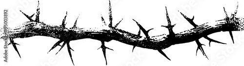 High contrast black and white thorn branch illustration with ink texture for background banner and graphic design elements