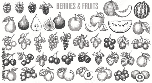 Vintage hand drawn berries and fruits collection, engraved organic food icons set, rustic sketch of garden fruit and berry varieties for menu design