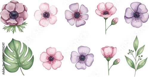 Delicate Hand-painted Anemone Flowers, Leaves, and Greenery for Spring Floral Arrangements and Botanical Illustrations"