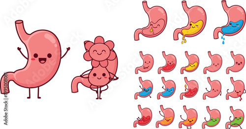Cute stomach cartoon vector illustration set with digestive system characters and emotions, medical health concept showing digestion stages isolated on white background