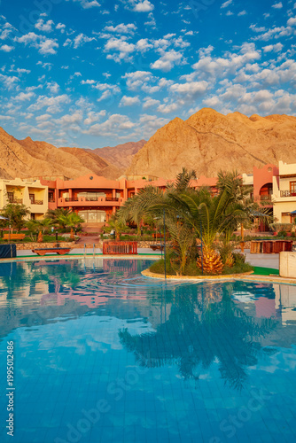 Vertical view of a luxury resort swimming pool with palm trees and Sinai mountains at sunset in Dahab, Egypt.
