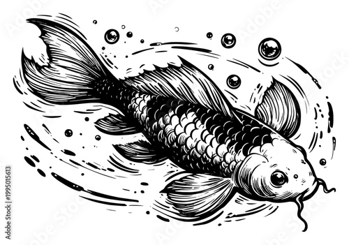 Koi Fish Swimming in Water with Splashes and Bubbles Traditional Japanese Style Engraving
