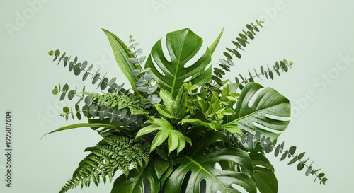 Fresh botanical foliage arrangement featuring large tropical palm fronds combined with slender eucalyptus branches to create a natural green decor element that brings vitality into living spaces