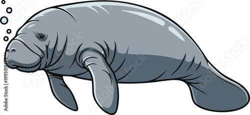 Gray manatee swimming with bubbles sea cow marine mammal aquatic animal gentle giant sea life