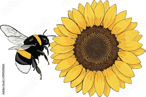 Illustration of a bumblebee flying towards a bright yellow sunflower with black and yellow, wildlife