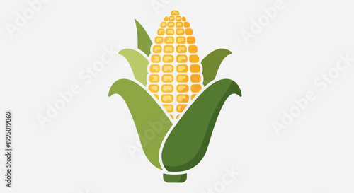 Vector illustration of a fresh corn cob with green husks