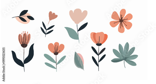 Abstract floral vector composition with hand drawn flowers modern botanical illustration isolated on white background