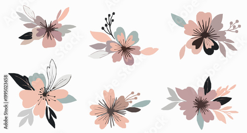 Hand drawn abstract floral arrangement vector with modern botanical elements for branding and print design on white