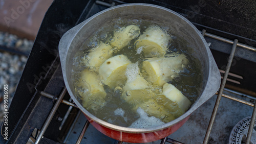 Photography Boiling Potatoes in Metal Pot on Camp Stove