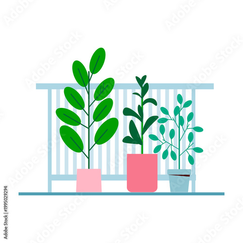 Potted Plants on a Balcony Railing