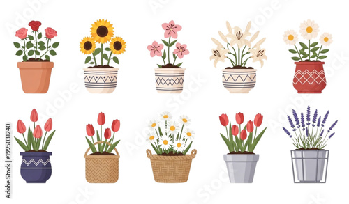 Potted garden flowers vector set botanical floral pots illustration