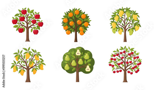 Fruit trees with ripe fruits vector set harvest orchard illustration