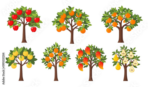 Fruit trees harvest vector illustration ripe orchard botanical set