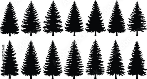 Evergreen tree pattern illustration, black silhouettes of pine and fir trees, symmetrical arrangement, natural forest design, outdoor nature artwork, decorative woodland icon, triangular tree shapes, 