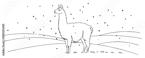 Llama Alpaca Standing in Field Under Starry Sky in Continuous Line Art