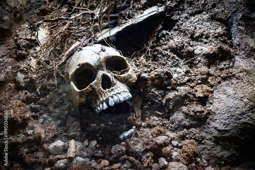 A human skull lies on the ground in the mud